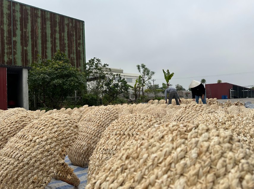 Thuan Ngan Group Joint Stock Company Soft Dried Mango