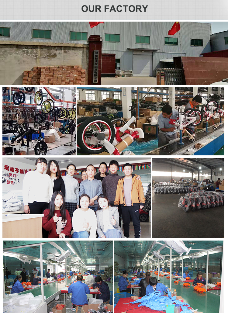 Shandong Lion Electric Technology Co., Ltd. electric tricycle