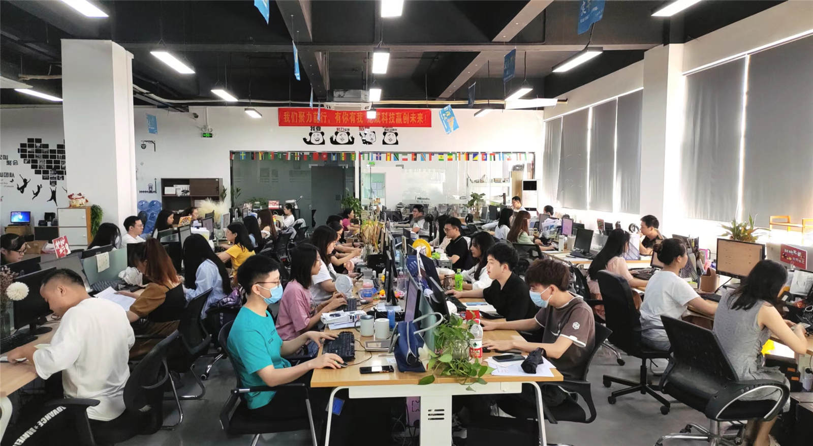 Shenzhen Gemdragon Display Technology Co., Ltd. factory image 4