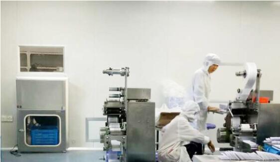 Wujiang Shenlong Health Care Products Co., Ltd. Moxa rolls