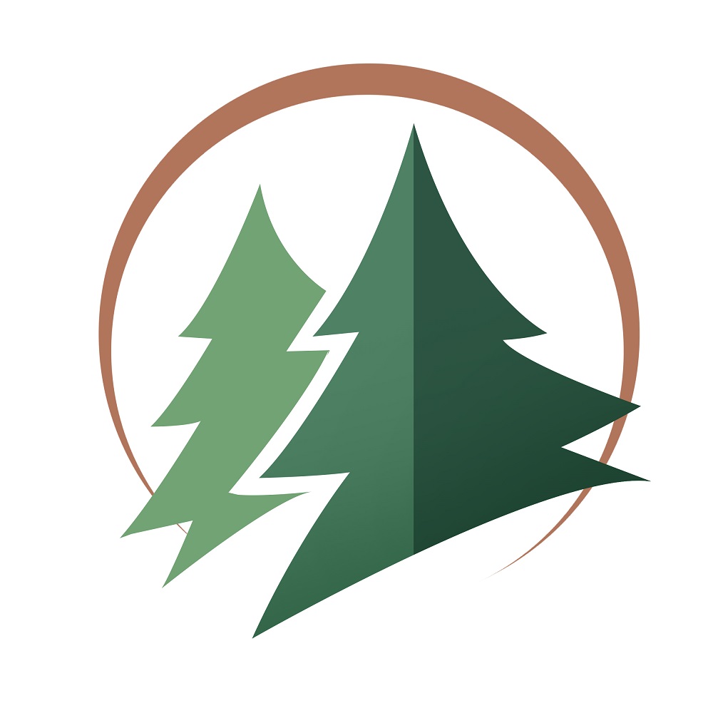 Shenzhen Kenmaisi Trading Co., Ltd. logo