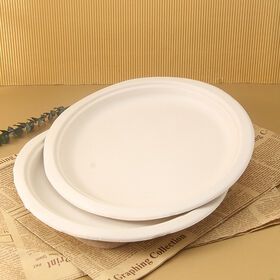 Eco Friendly Disposable Biodegradable Plates Biodegradable Sugarcane Bagasse Paper Pulp Mould 10 inches Paper Pulp Plates