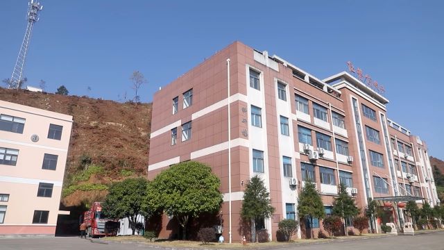 Zhejiang Epowsens Electronics Co., Ltd. EAS System