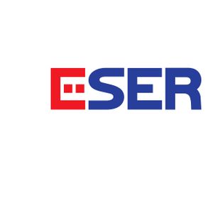 Company icon