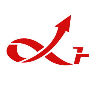 Company icon