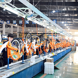 Tianjin Yuandong Lanjian Technology Co., Ltd. City Bike