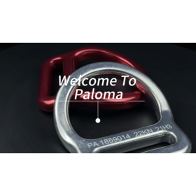 Best D ring Aluminum 2 Welded Sliding D ring for Safety Belt Fall Protection Safety Lanyard