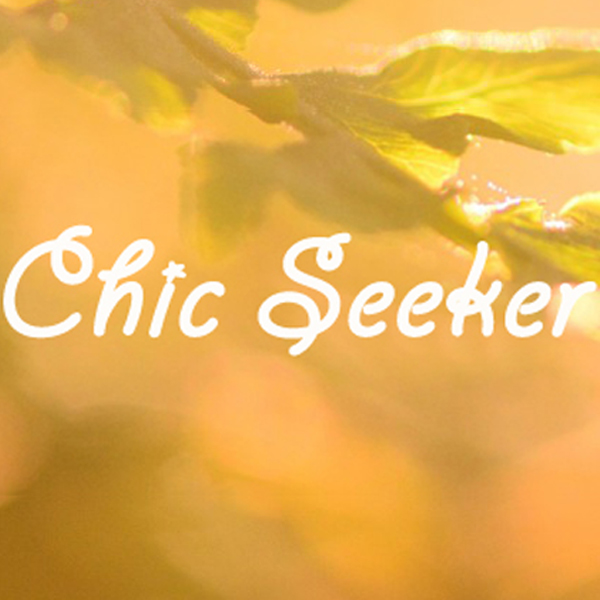 Yiwu Chic Seeker Accessories Co., Ltd. logo