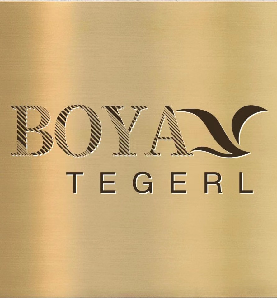Nanyang City Boya Trade Co., Ltd. logo