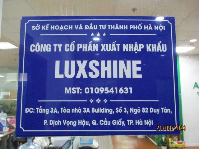 LUXSHINE IMPORT EXPORT JOINT STOCK COMPANY Human Hair Extensions