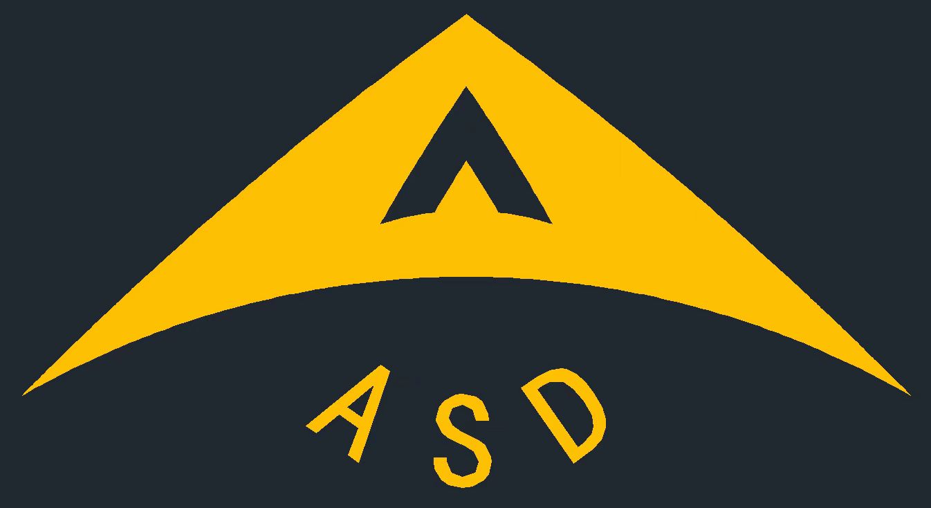 Dongguan Anside Electronics Co., Ltd. logo