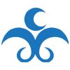 Company icon