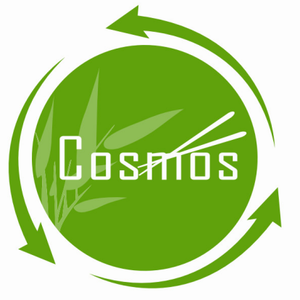 Company icon
