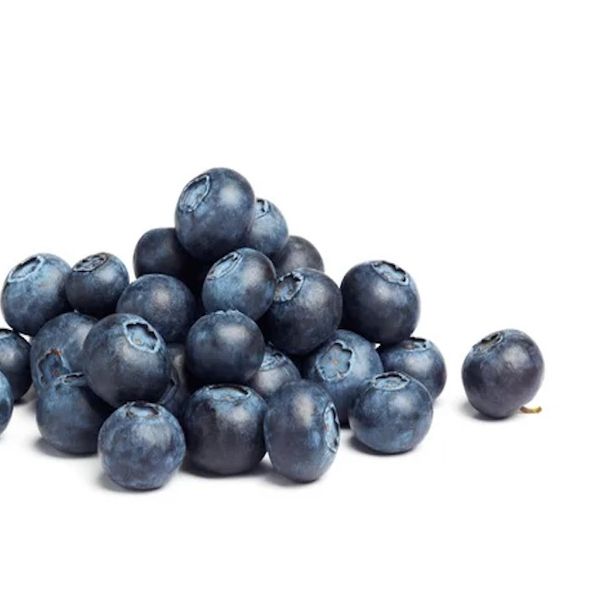 Blueberry Tress and Bush For Sale