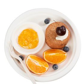 Custom PFAS Plastic Free Disposable Biodegradable Eco-friendly Sugarcane Bagasse Paper Pulp Plates