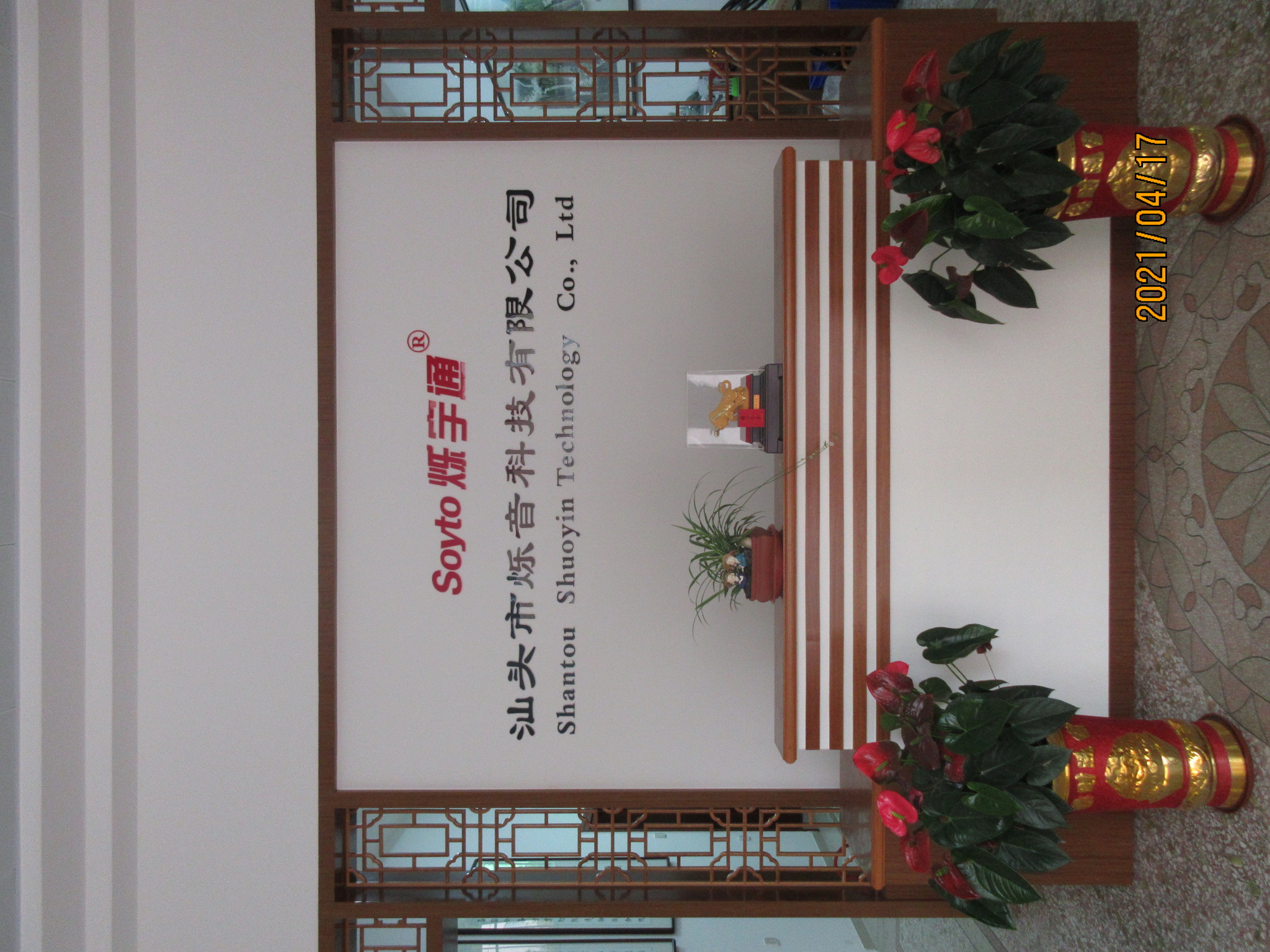 Shantou Shuoyin Technology Co., Ltd. Wireless Headsets