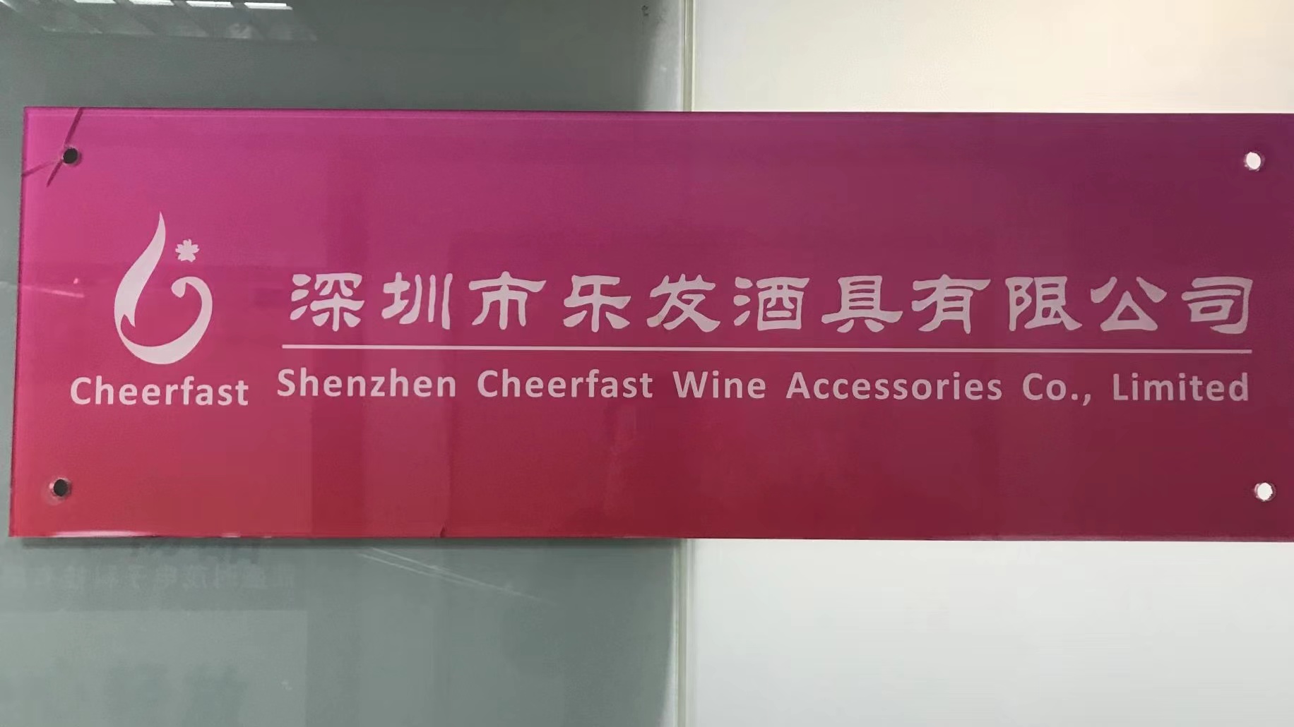 Shenzhen Cheerfast Wine Accessories Co., Ltd. Whiskey Stone Set
