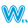 Company icon