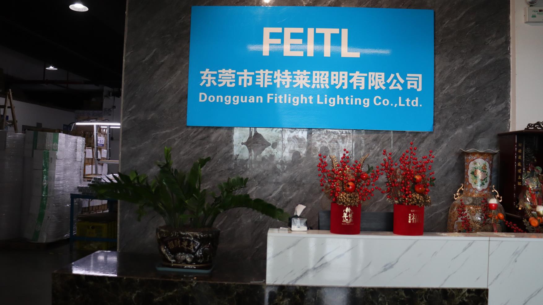 Dongguan Fitlight Lighting Co., Ltd. LED Down Light