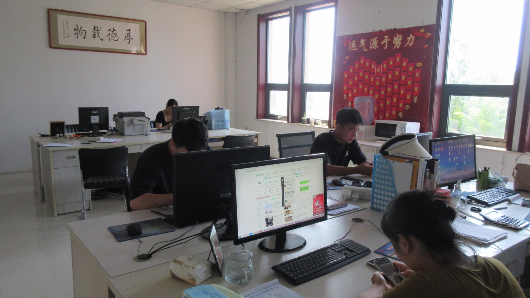 Anping County Joylink Wire Mesh Factory Hexagonal Mesh