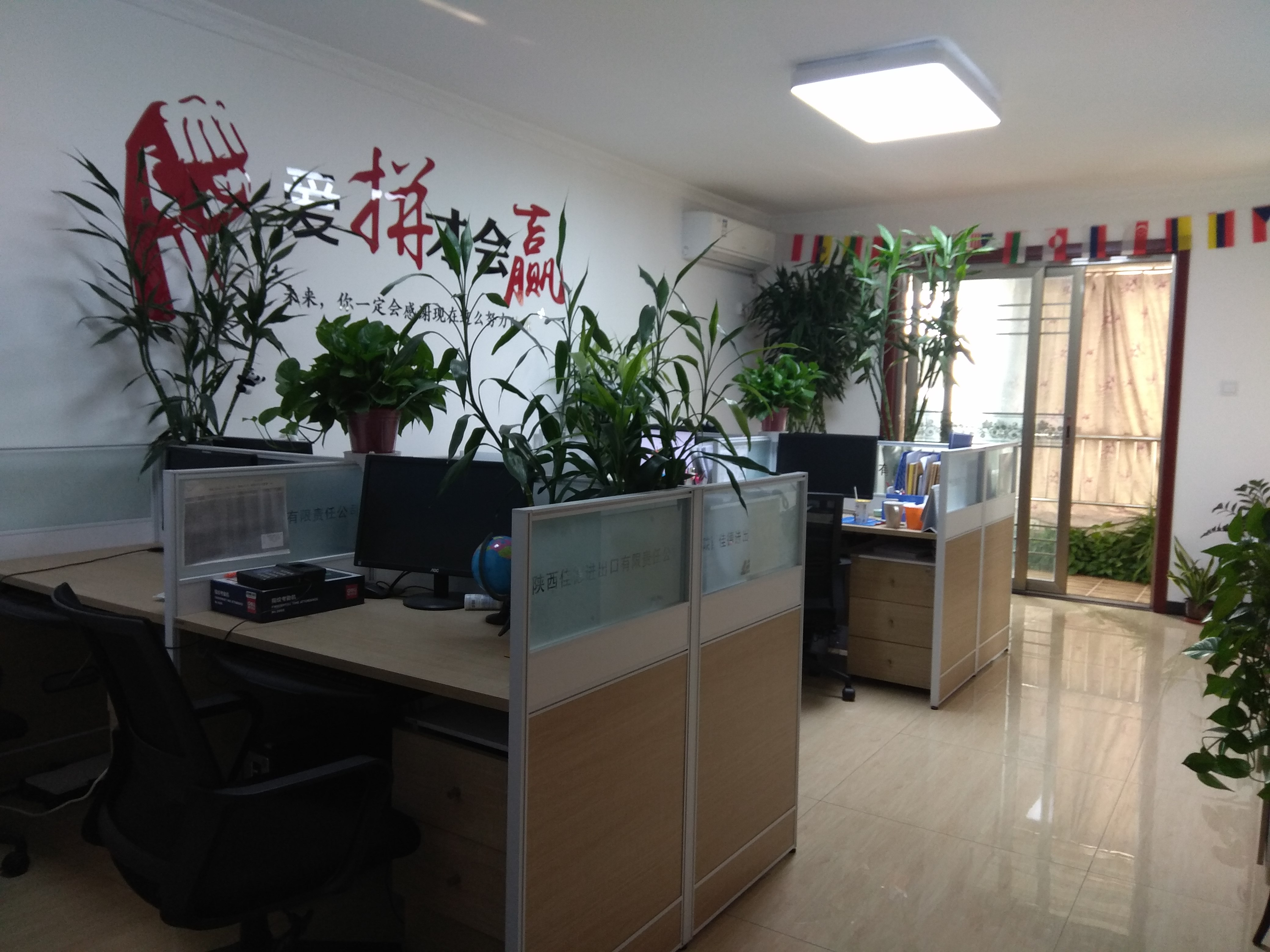 Shaanxi Jiade Import and Export Co., Ltd. factory image 3