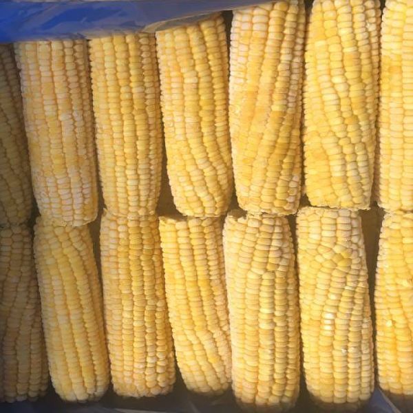 New Crop 2022 Frozen Whole Sweet Corn with Best Price from Vietnam 200 Kg Bulk Packaging -- HP 0084 917 476 477