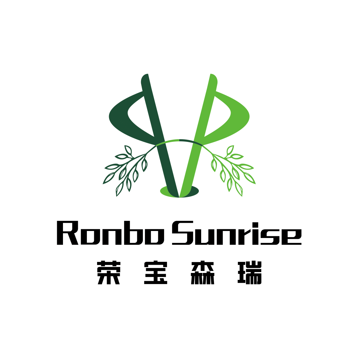 Ronbo Sunrise (Beijing) Trading Co., Ltd. logo