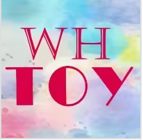Dongguan Wanghong Toys & Gifts Co., Ltd. logo