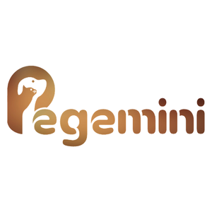 Company icon