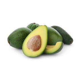High Quality Fresh Avocado Wholesale