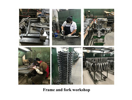 Enwe Sports Tech (Kunshan) Co., Ltd. Folding Electric Bike