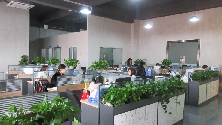 Shanghai Wellness Crafts Co., Ltd. Reed diffusers