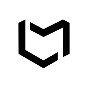 Company icon