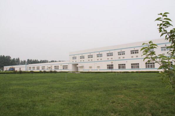Bozhou Swanf Commercial And Trade Co., Ltd. Flower Tea