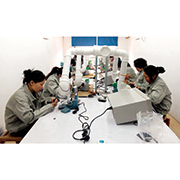 Chibi Zhilixing Electronic Technology Co., Ltd. factory image 3