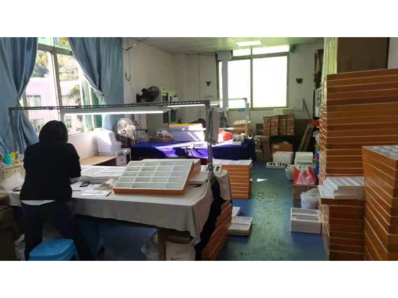Dongguan Badanmu Eyewear Co., Ltd. Eyeglasses