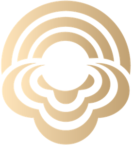 Company icon