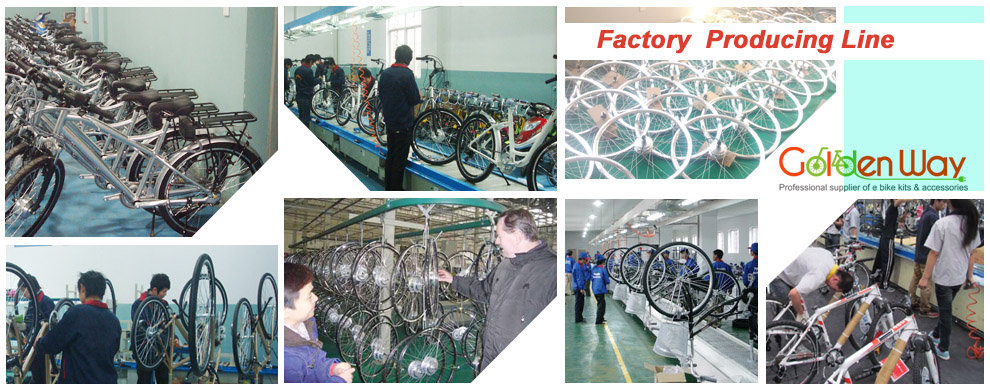 Golden Way Cycle Co., Ltd e bike conversion kit