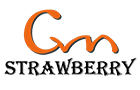 Dongguan City Strawberry Electronic Co., Ltd. logo