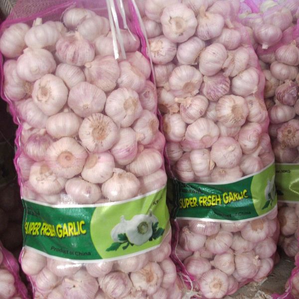 5.0cm 5.5cm Shandong China Fresh Garlic Red Garlic in Bulk