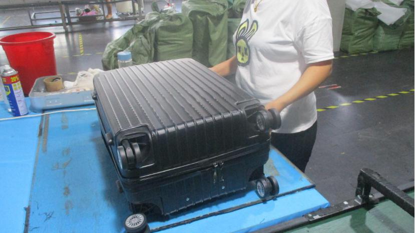 Hunan Qixiu Technology Co., Ltd. Handbags