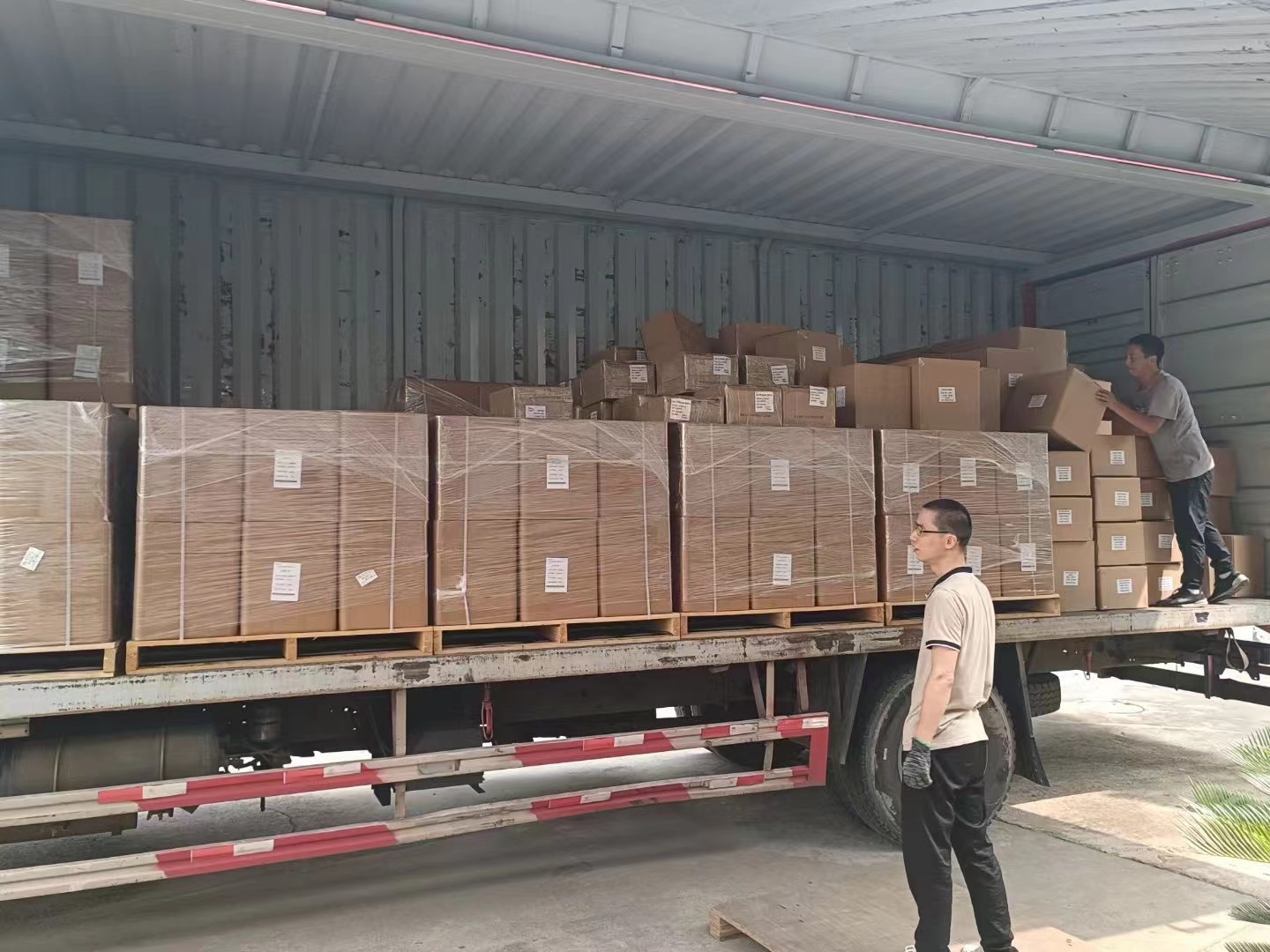 Jiangsu Easyshow Technology Co., Ltd. factory image 3