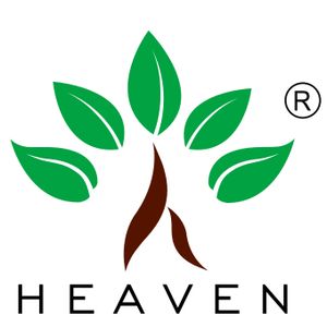 Company icon