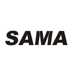 Company icon
