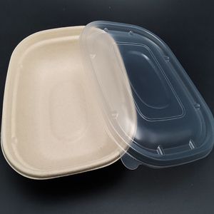 Kingwin Biodegradable Sugarcane Bagasse Unbleached Packaging Paper Pulp Tray with Clear Lid