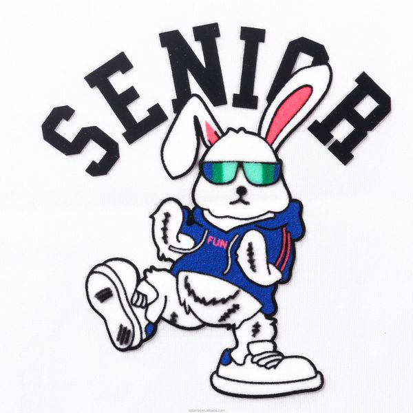 eco-friendly Customization plastic soft washable Iron-On pet glass heat transfer printing for t-shirt fabric