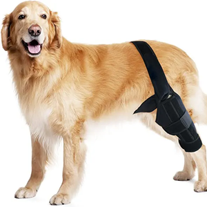 Pet Small Dog Knee Brace Legs Support Joint Wrap Protector Adjustable Recovery Sleeve Dog Knee Brace For Torn Acl Hind Leg