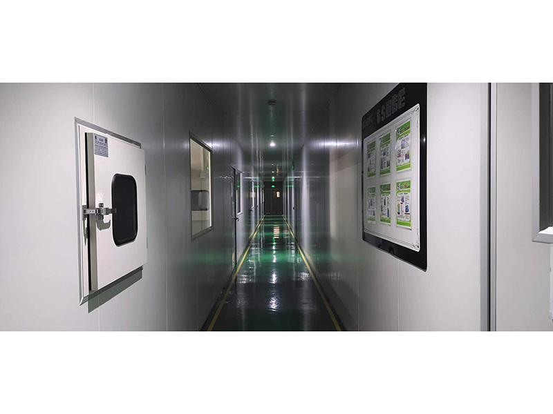 Dongguan Lanjin Optoelectronics Co., Ltd. SMD LED