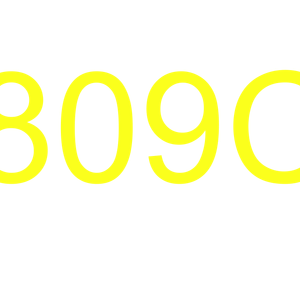 Company icon