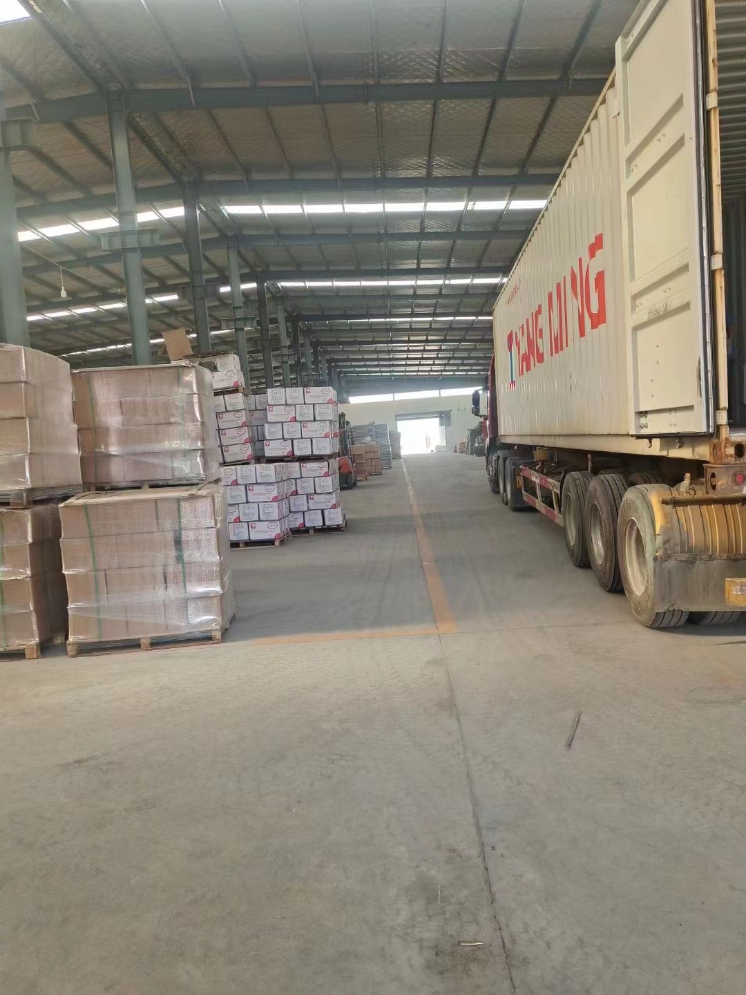 Shijiazhuang Truter Packaging Co., Ltd. factory image 1